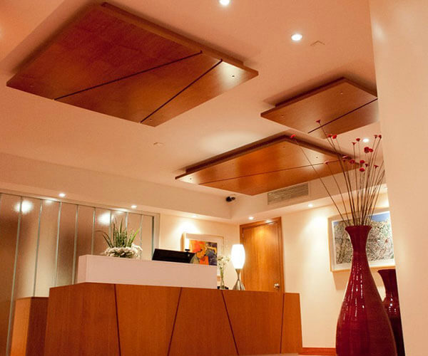 Alicia Moreau De Justo 1930 - Oficinas