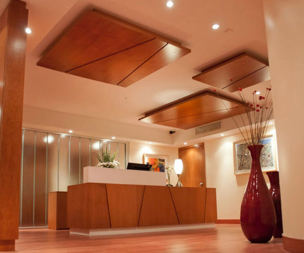 Alicia Moreau De Justo 1930 - Oficinas